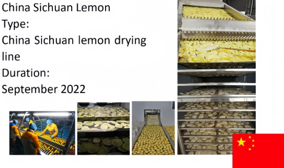 Lemon Slices Dehydration in  Sichuan China