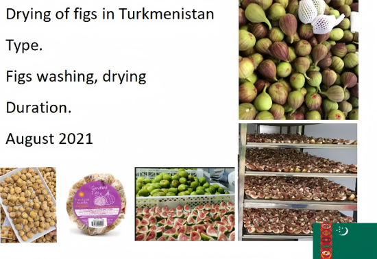 Dehydration of figs in Turkmenistan