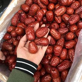 干的完整红枣.jpg